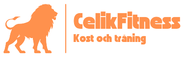 CelikFitness Logo